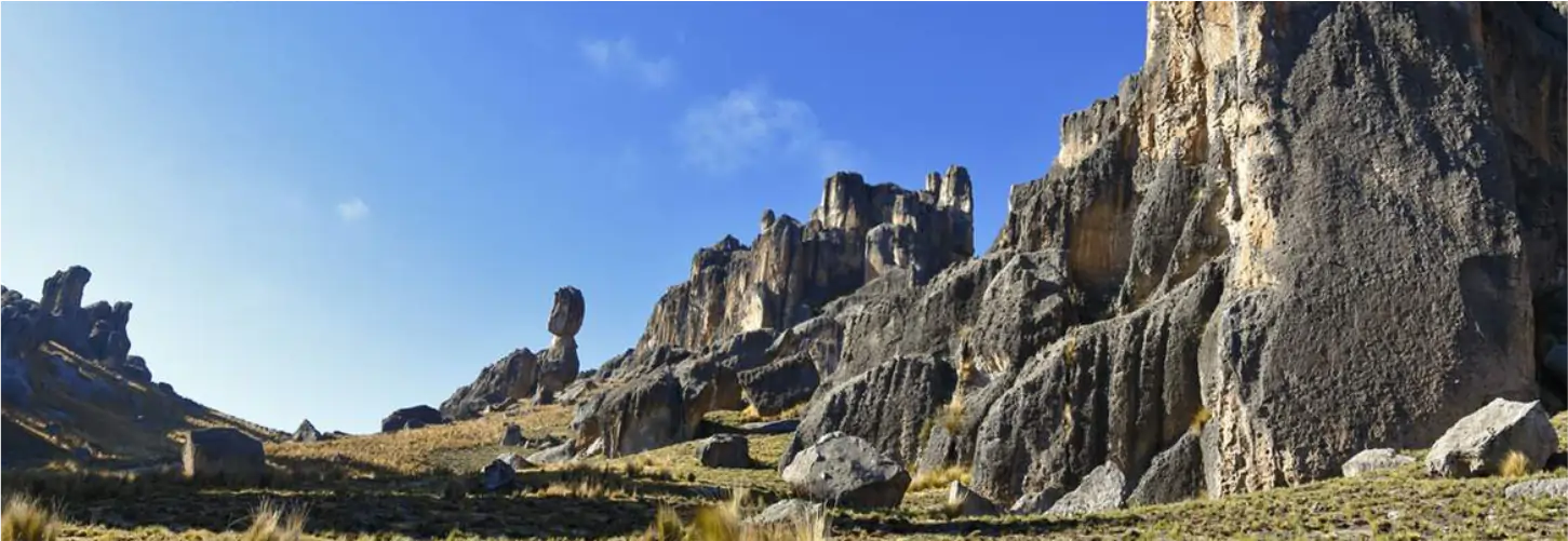 Bosque de Piedras de Sachapite