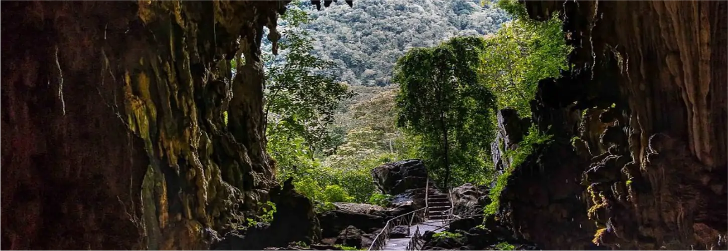 Cueva de las Lechuzas