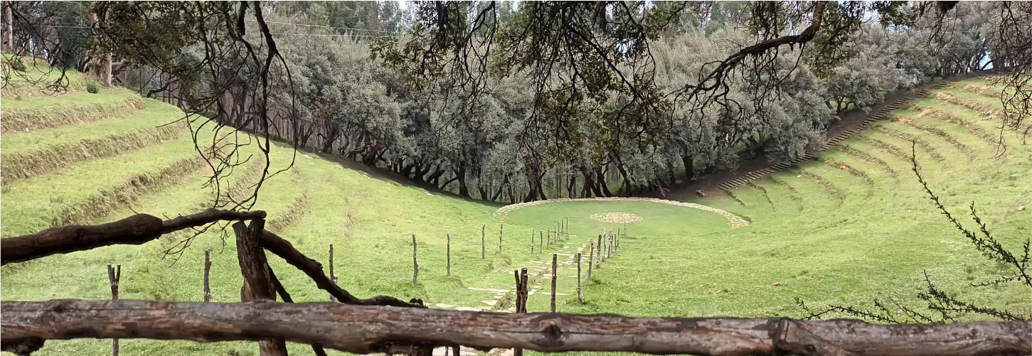 Bosque Dorado de Paccha