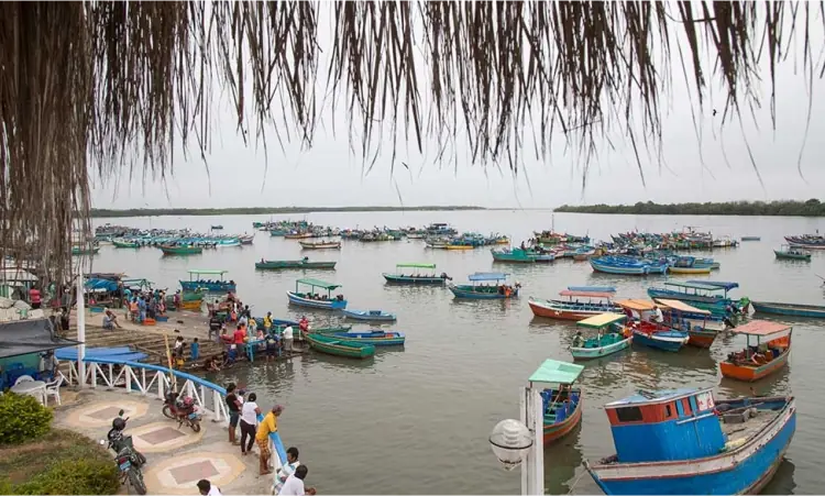 Puerto Pizarro, Manglares, Zorritos, Punta Sal, agencia de viajes nacionales, tours, paquetes, tumbes v1