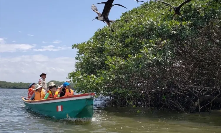 Puerto Pizarro, Manglares, Zorritos, Punta Sal, agencia de viajes nacionales, tours, paquetes, tumbes v2