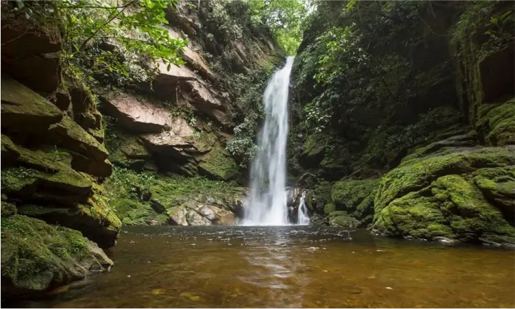 TARAPOTO & ALTO MAYO MÍSTICO tours agencia de viajes nacionales Cataratas de Huacamaillo