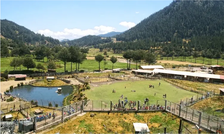 Tour Cajamarca, Cumbemayo, Baños del Inca, Ventanillas de Otuzco, Granja Porcón, Ex Hacienda La Colpa, agencia de viajes a destinos nacionales, paquetes de viajes v4