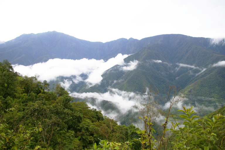 Los Yungas, la entrada a la Amazonía en el departamento de La Paz, Bolivia